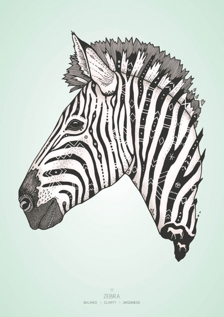 Zebra med farvet baggrund